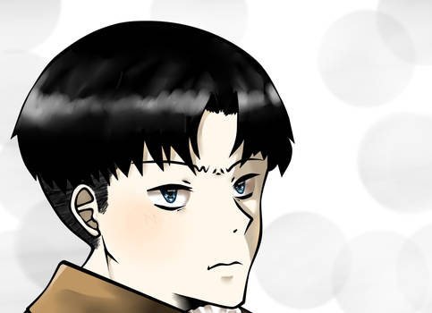 Levi (SNK)