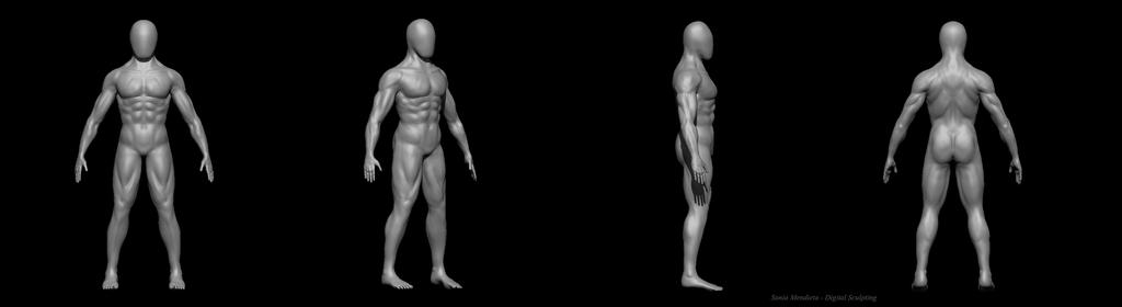 Human Perogie Human body practice by PopoSonia on DeviantArt