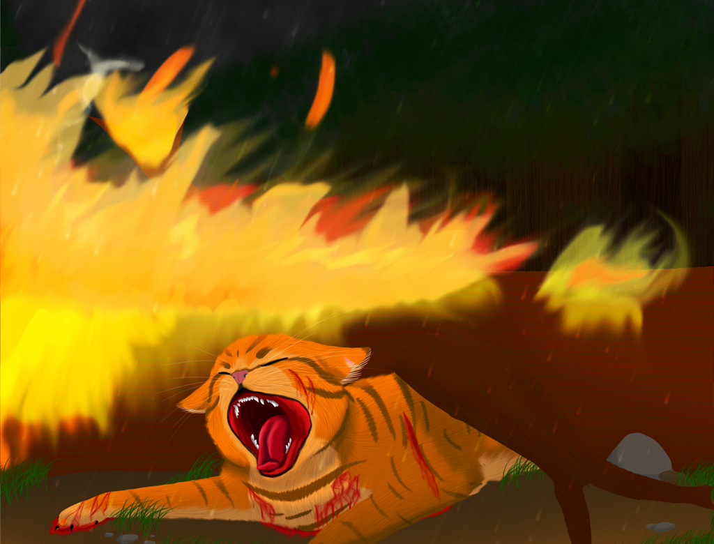 Firestar Sad *Spoilers* Firestar's Death by DemonicMemes on DeviantArt