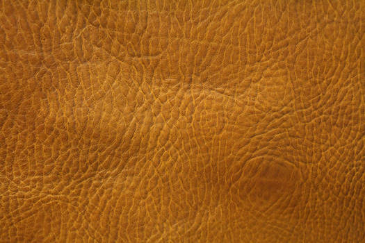 Leather Texture 2