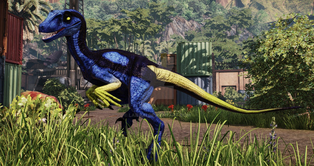 Novaraptor Render Surgeon Novaraptor by LailaAi on DeviantArt