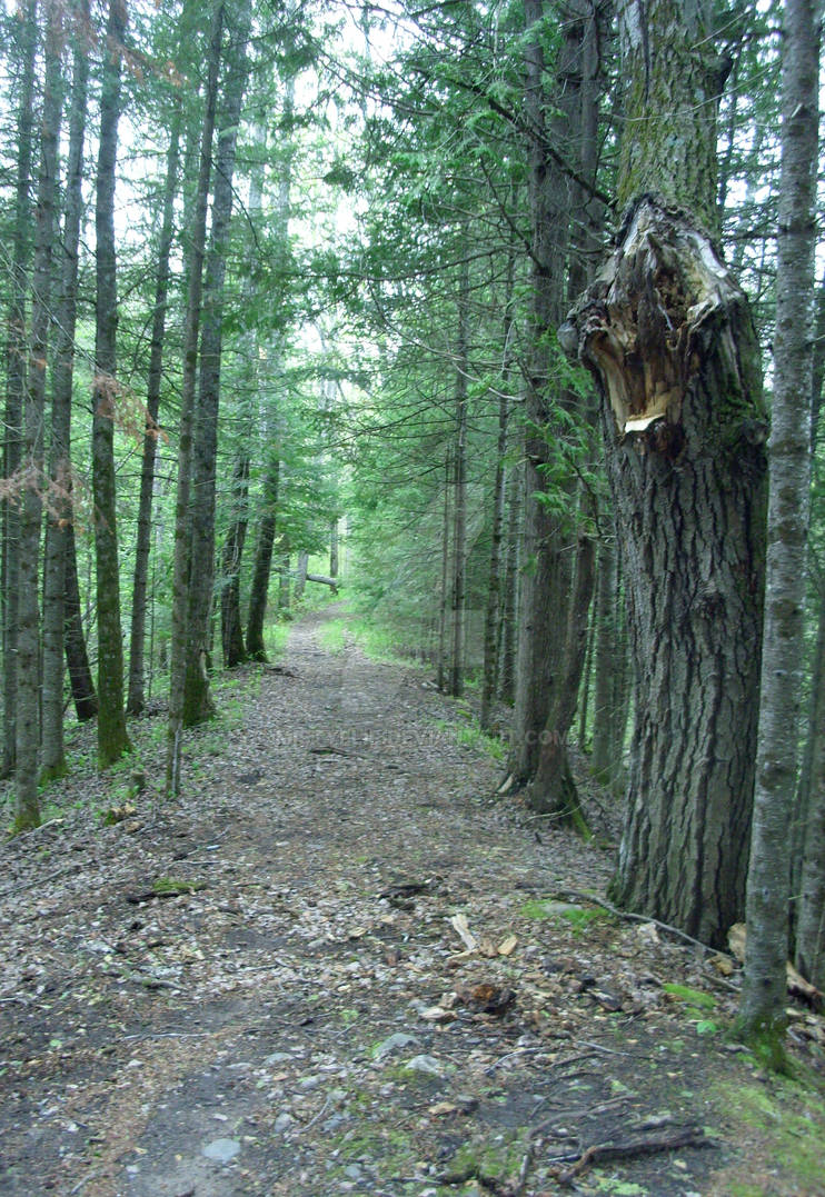 the path less taken by mistyflip on DeviantArt