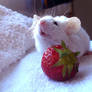 Mouse with a strawberry 2