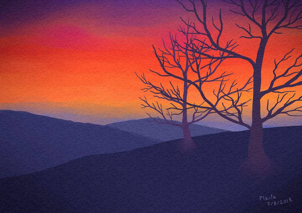 Sunset