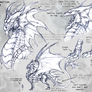 Admetrion Dragon Ref