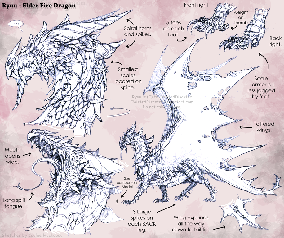 Ryuu Dragon Ref Sketches