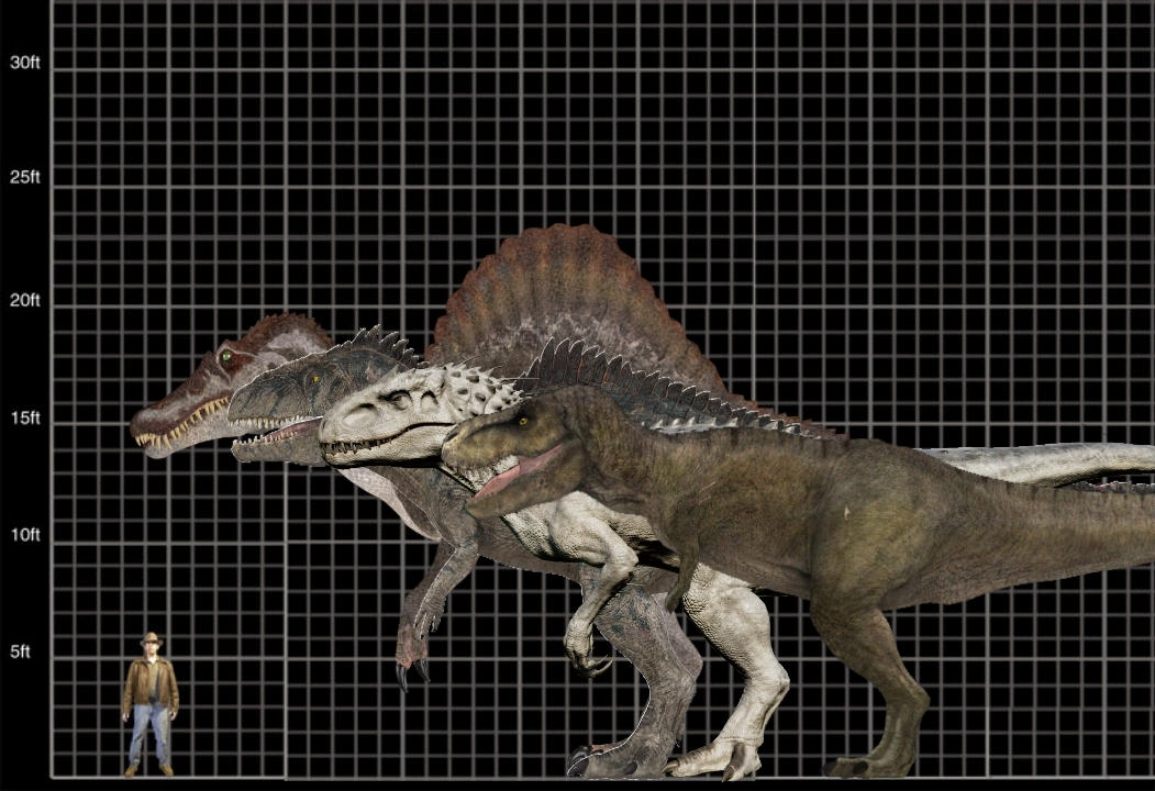 Spino Giga Indom And Rexy Size Comparison By Sheld2 On DeviantArt spino-giga-indom-and-rexy-size-comparison-by-sheld2-on-deviantart