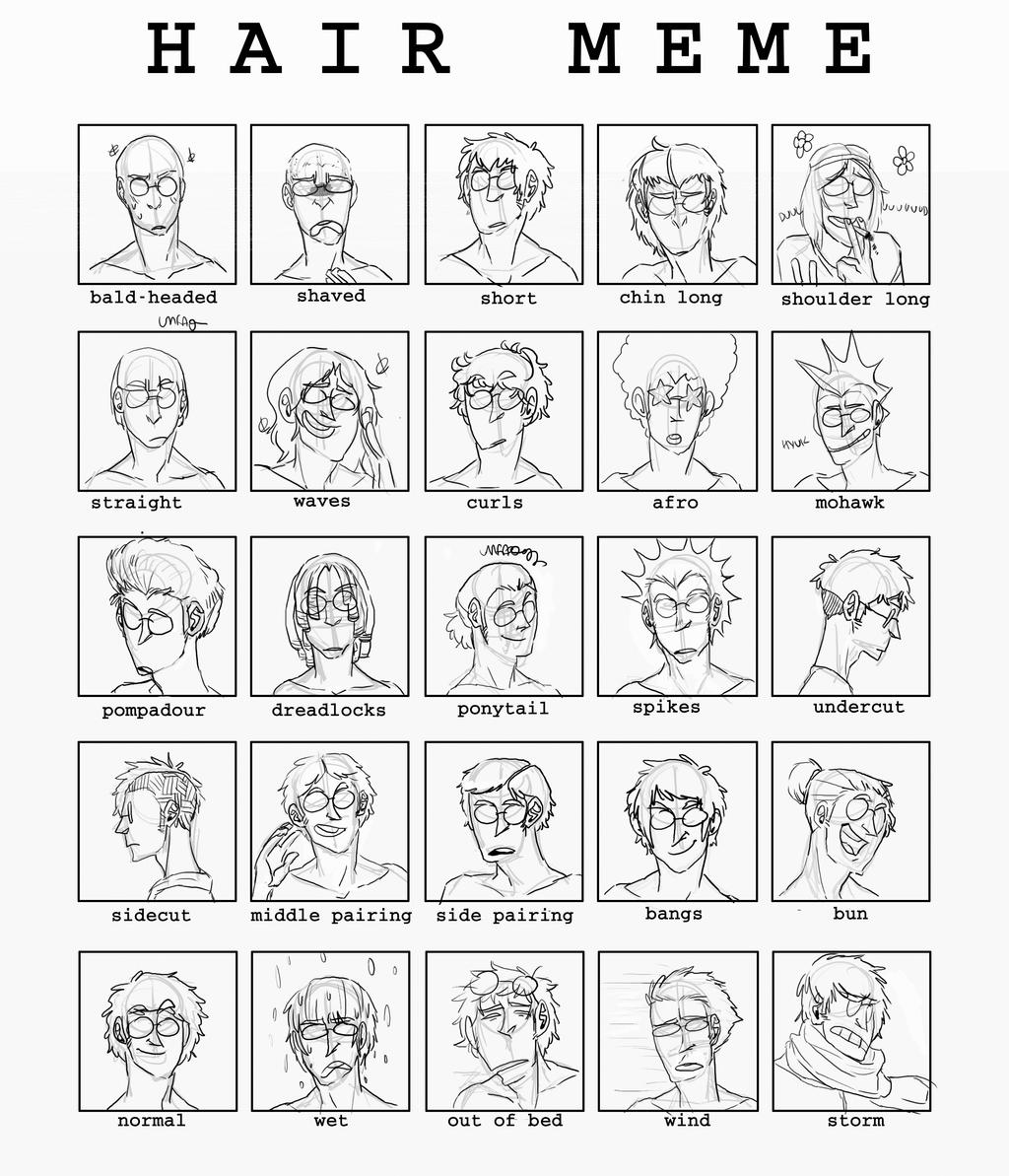 hair meme by Cabout on DeviantArt