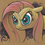 the Fluttershy STARE