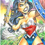 Wonder Woman redemption Sketch card