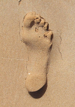 Footprint.