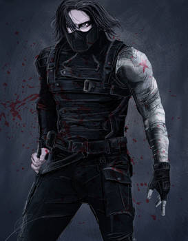 The Winter Soldier