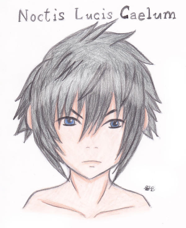 Noctis Lucis Caelum