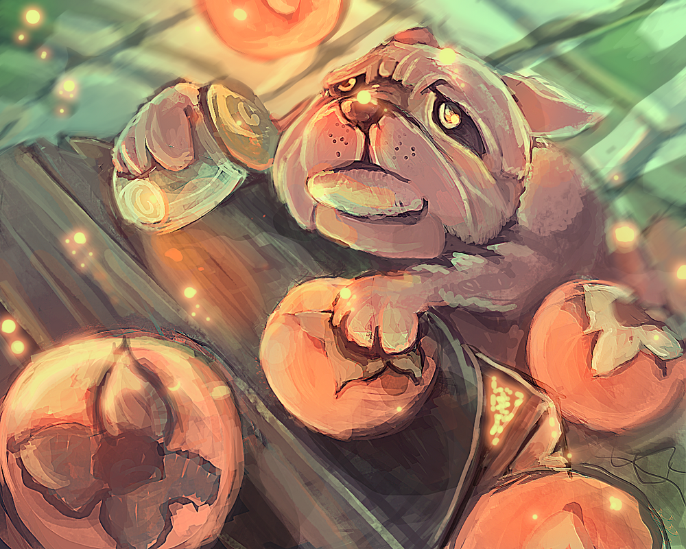 Magic persimmons and   baby  bulldog