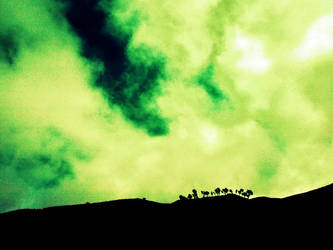 The green sky , a black hill and The black trees
