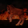 Fire Foal