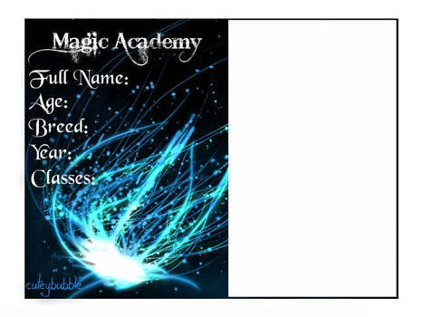 Magic-Academy Application Form