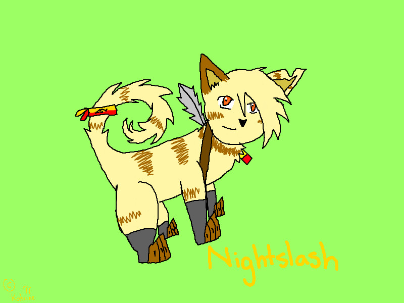 Konoha Cat Nightslash