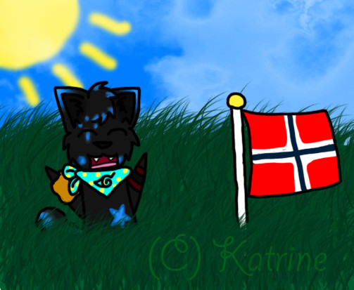 Norway's Natinoal Day