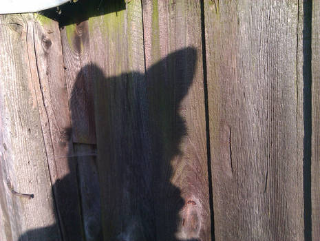 Shadow of me in my wolf hat!!!!