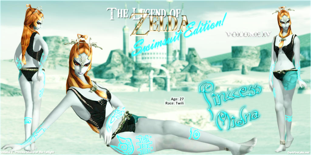 LoZ: Swimsuit Edition Vol. 4