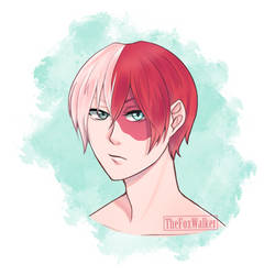 Todoroki