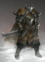 Long winter knight character design