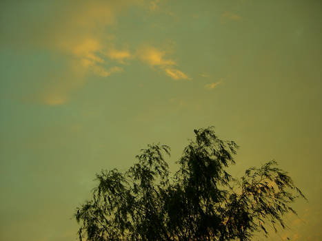 Green Tea Sky