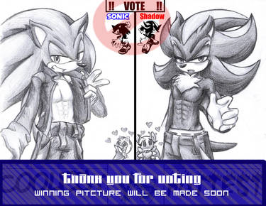 Sonic Vs. Shadow:VOTES CLOSED