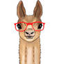 Llama with red glasses