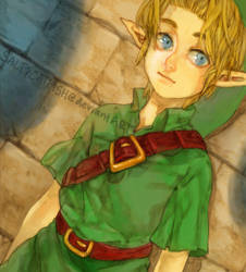 LoZ: Link