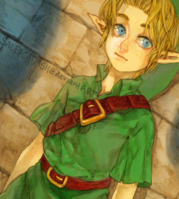 LoZ: Link