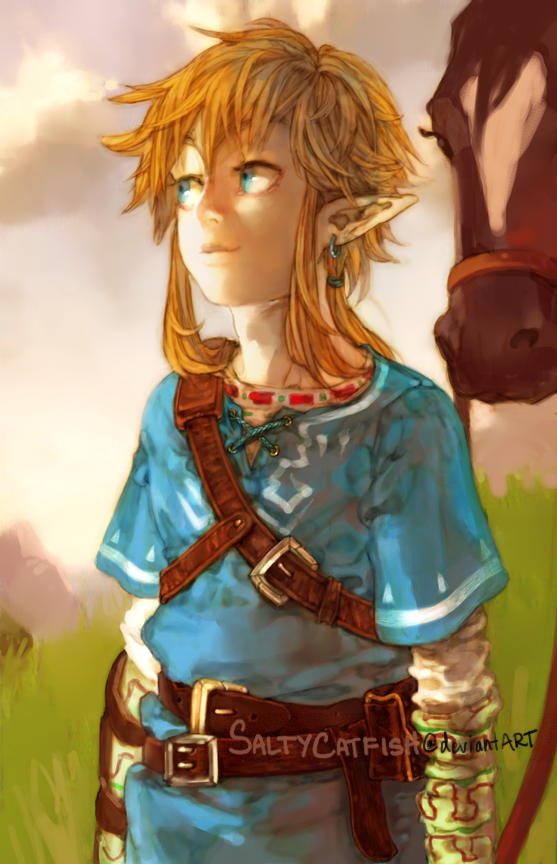 LoZ: WiiU