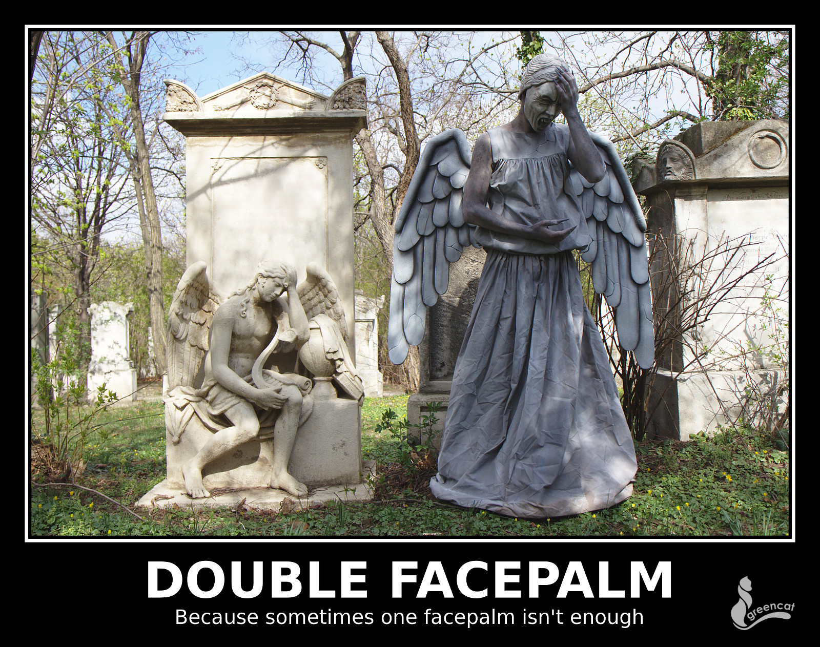 Double Facepalm