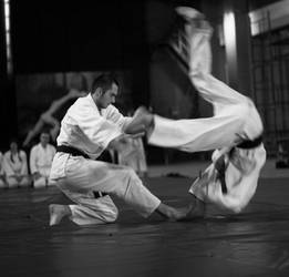 aikido