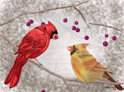 Christmas Cardinals