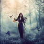 Forest sorceress