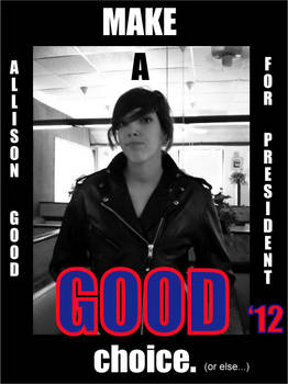 Presidential Campaign Flyer