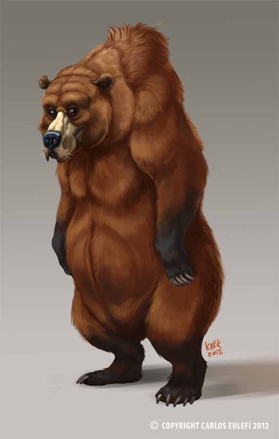 Grizzly Bear study 001