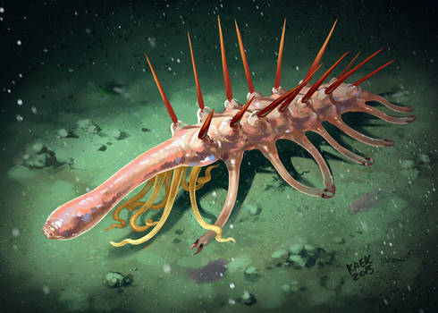 Hallucigenia