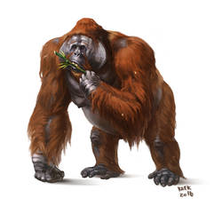 Gigantopithecus blacki