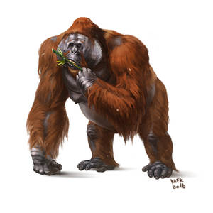 Gigantopithecus blacki