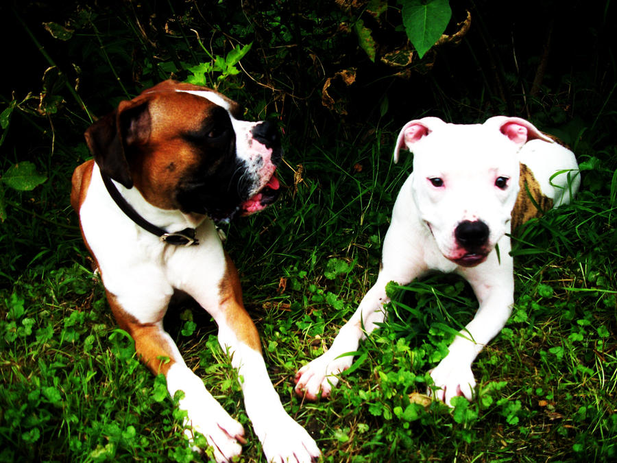 Inseparable by ThexXNamesXxTaylor on DeviantArt