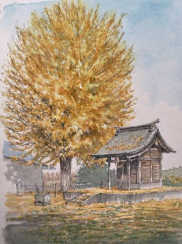 A ginkgo and a shrine