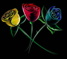 3 Roses