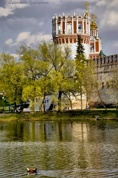 tower of novodevicheva  monastery