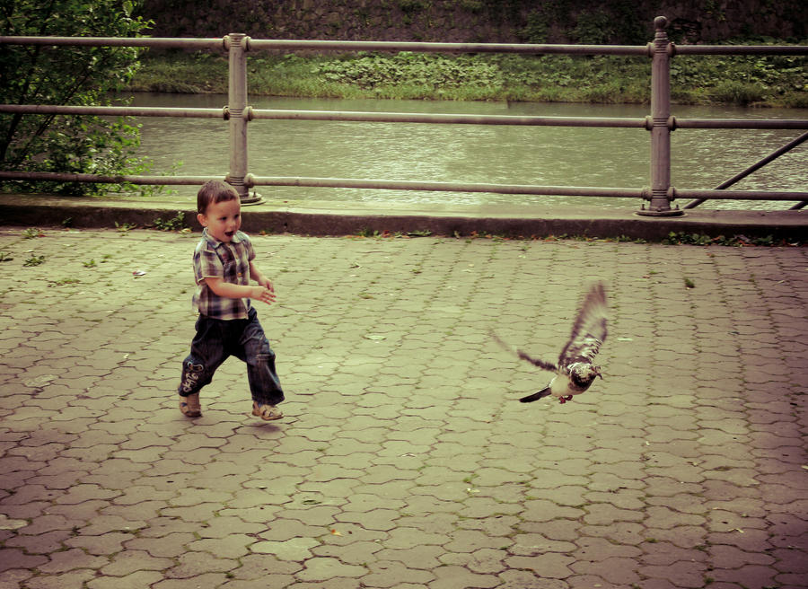 Child and dove