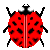 Free Ladybug Avatar by NinRac