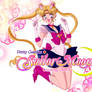 Sailor Moon 2013!