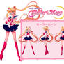 Sailor Moon Character Sheet